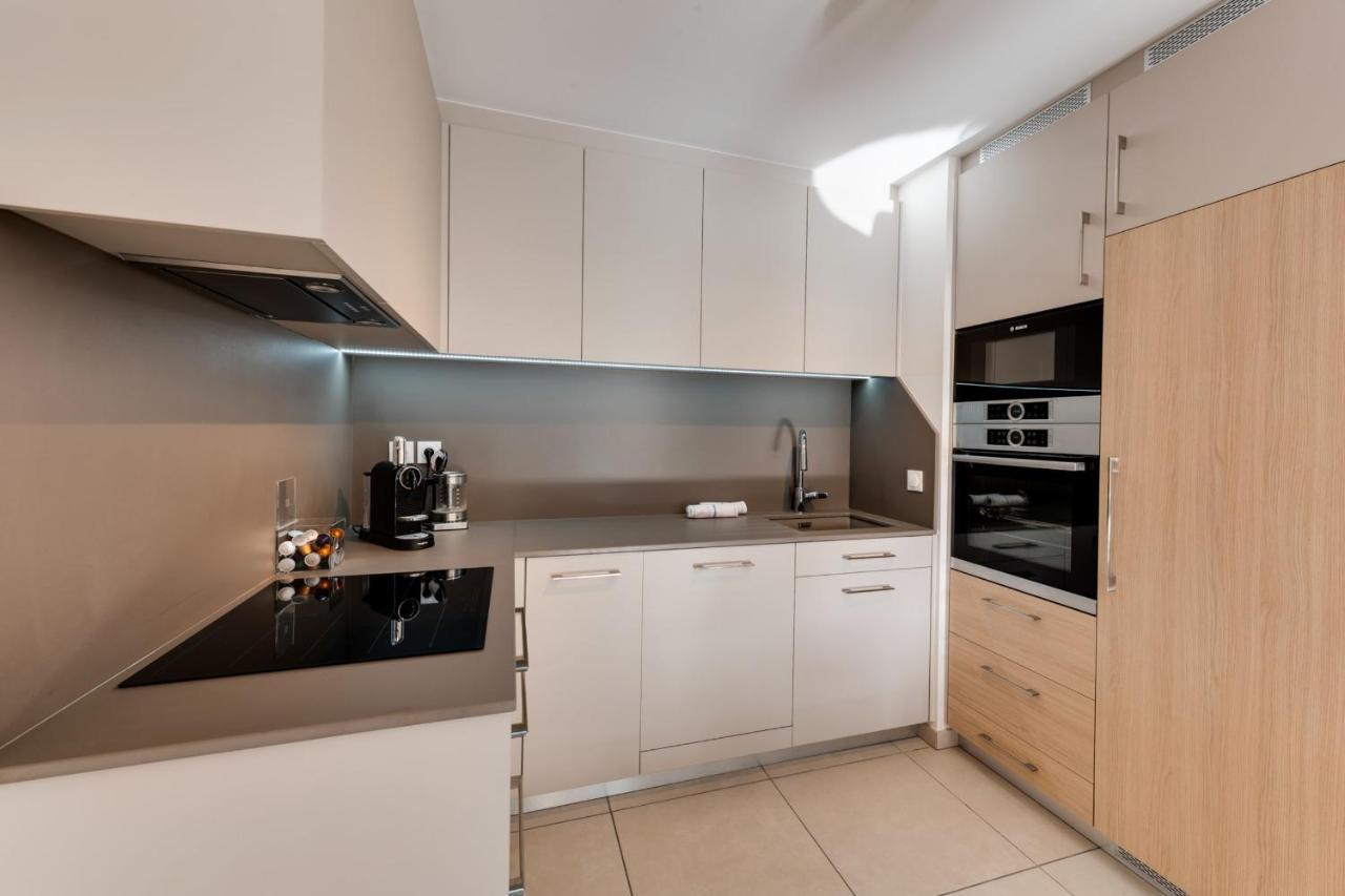 Le Reposoir - New 2 Bedroom Apartment With Terrace & Garage Annecy Exterior foto